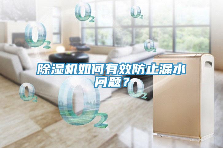 除濕機(jī)如何有效防止漏水問題？