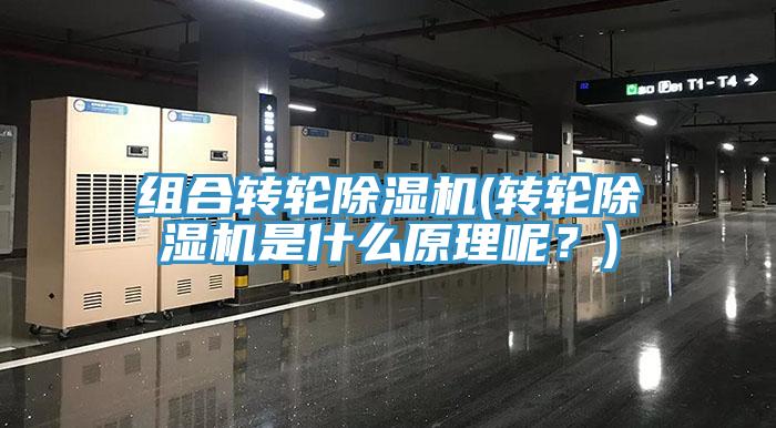 組合轉(zhuǎn)輪除濕機(jī)(轉(zhuǎn)輪除濕機(jī)是什么原理呢？)