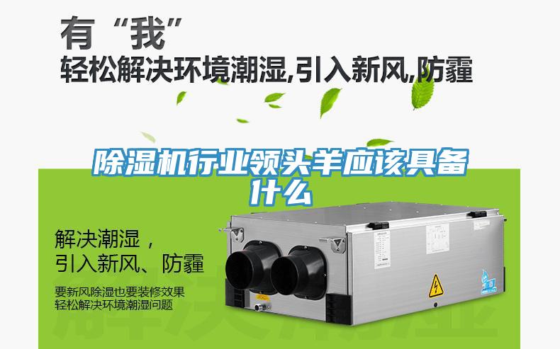 除濕機行業(yè)領(lǐng)頭羊應該具備什么