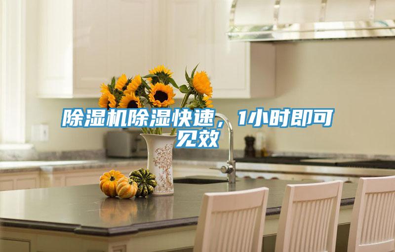 除濕機(jī)除濕快速，1小時(shí)即可見效