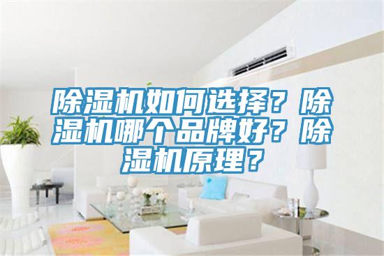 除濕機(jī)如何選擇？除濕機(jī)哪個(gè)品牌好？除濕機(jī)原理？