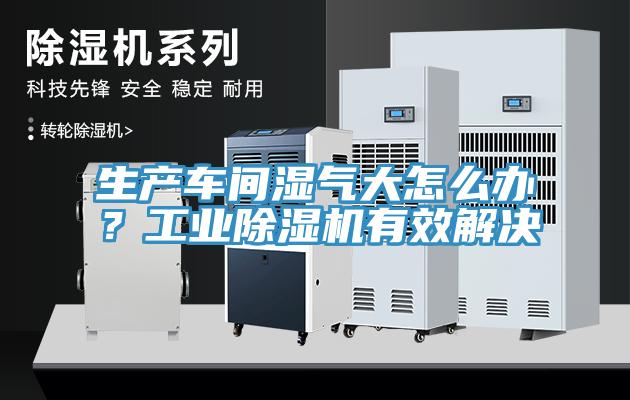 生產(chǎn)車間濕氣大怎么辦？工業(yè)除濕機(jī)有效解決
