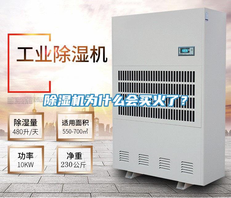 除濕機為什么會買火了？