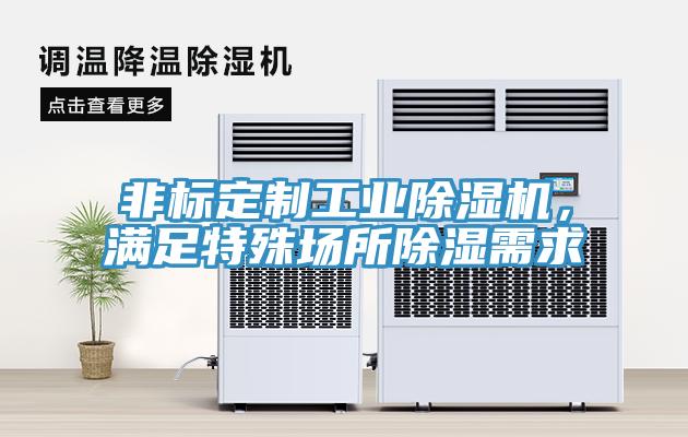 非標(biāo)定制工業(yè)除濕機(jī)，滿足特殊場所除濕需求