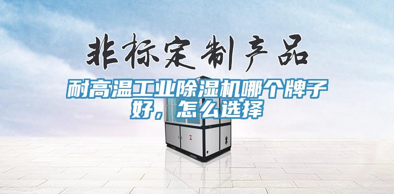耐高溫工業(yè)除濕機(jī)哪個牌子好，怎么選擇