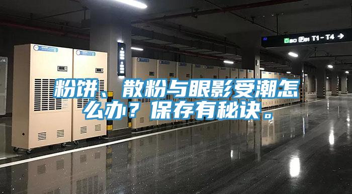 粉餅、散粉與眼影受潮怎么辦？保存有秘訣。