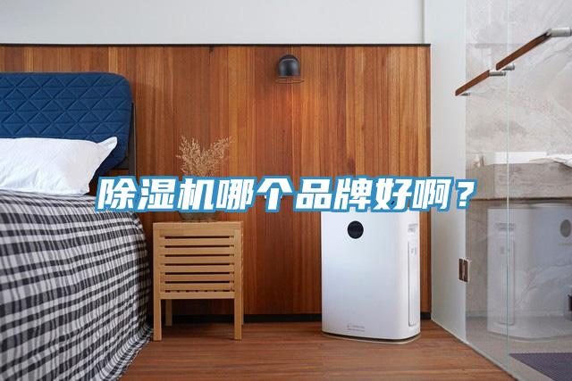 除濕機(jī)哪個品牌好??？
