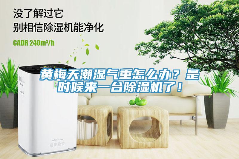 黃梅天潮濕氣重怎么辦？是時(shí)候來(lái)一臺(tái)除濕機(jī)了！