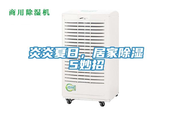 炎炎夏日，居家除濕5妙招