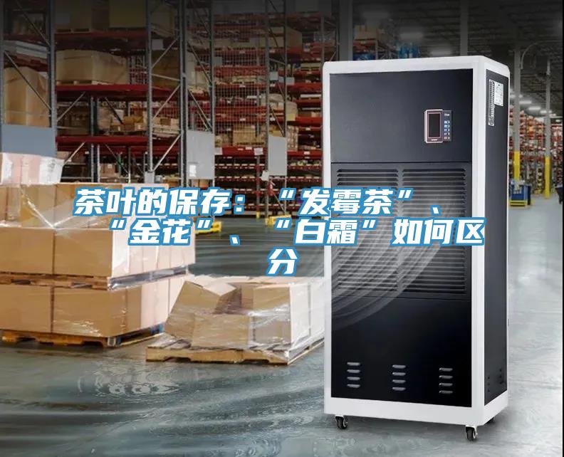 茶葉的保存：“發(fā)霉茶”、“金花”、“白霜”如何區(qū)分