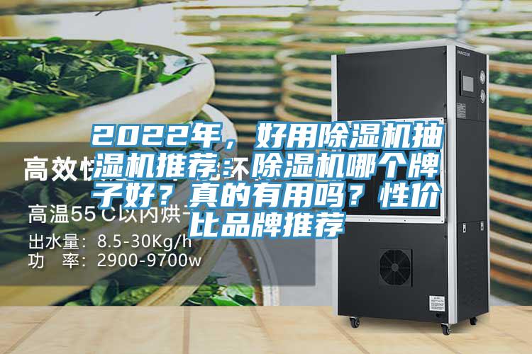 2022年，好用除濕機(jī)抽濕機(jī)推薦：除濕機(jī)哪個(gè)牌子好？真的有用嗎？性價(jià)比品牌推薦