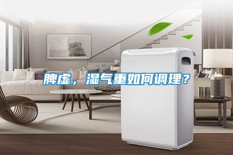 脾虛，濕氣重如何調(diào)理？