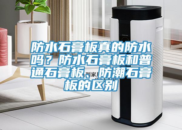 防水石膏板真的防水嗎？防水石膏板和普通石膏板、防潮石膏板的區(qū)別