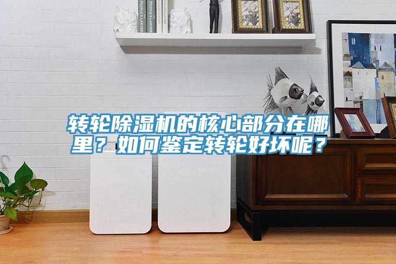 轉(zhuǎn)輪除濕機(jī)的核心部分在哪里？如何鑒定轉(zhuǎn)輪好壞呢？