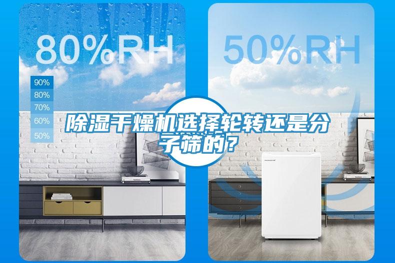 除濕干燥機(jī)選擇輪轉(zhuǎn)還是分子篩的？