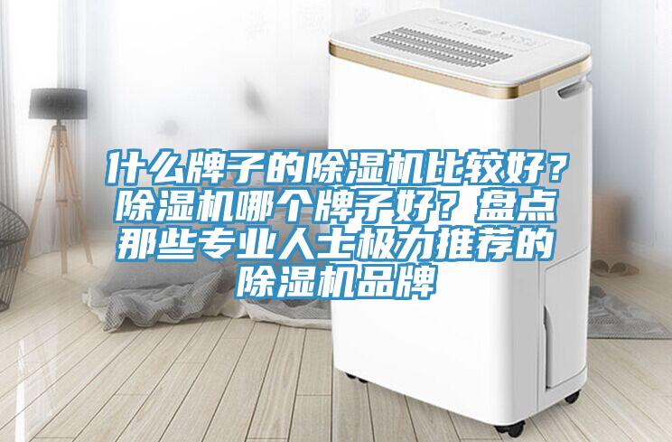 什么牌子的除濕機比較好？除濕機哪個牌子好？盤點那些專業(yè)人士極力推薦的除濕機品牌