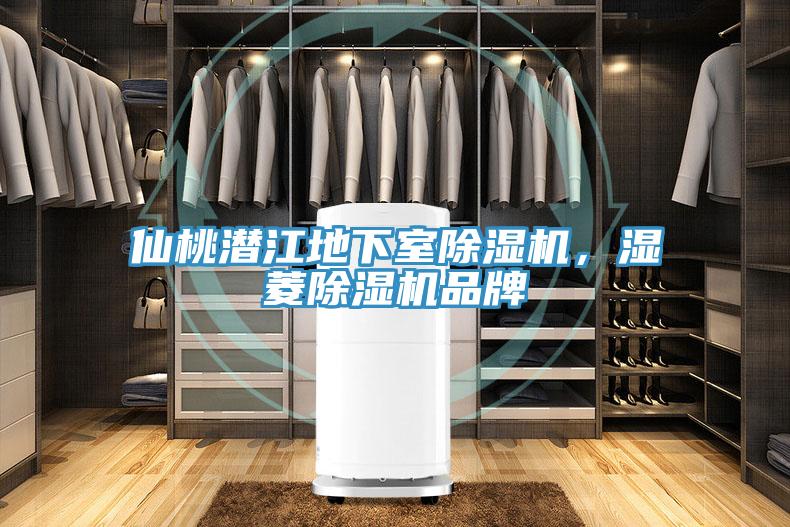 仙桃潛江地下室除濕機，濕菱除濕機品牌