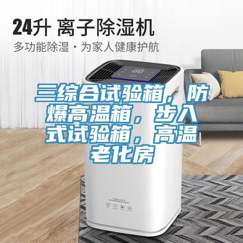 三綜合試驗(yàn)箱，防爆高溫箱，步入式試驗(yàn)箱，高溫老化房