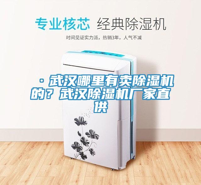 ·武漢哪里有賣(mài)除濕機(jī)的？武漢除濕機(jī)廠家直供