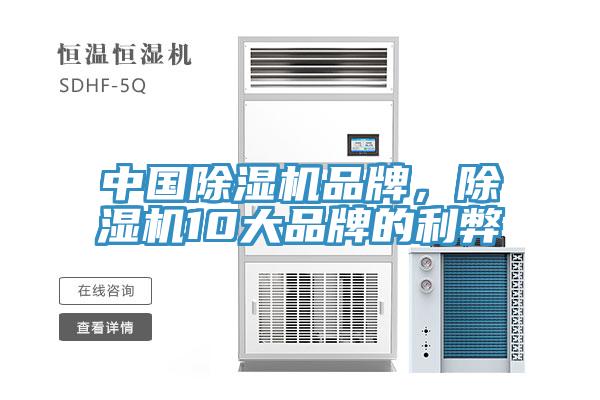 中國除濕機品牌，除濕機10大品牌的利弊