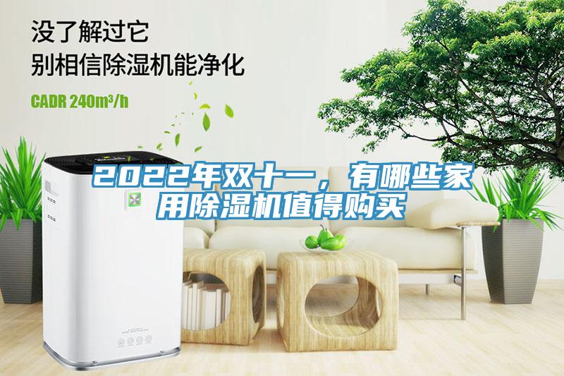 2022年雙十一，有哪些家用除濕機(jī)值得購(gòu)買