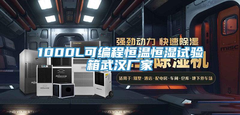 1000L可編程恒溫恒濕試驗(yàn)箱武漢廠(chǎng)家