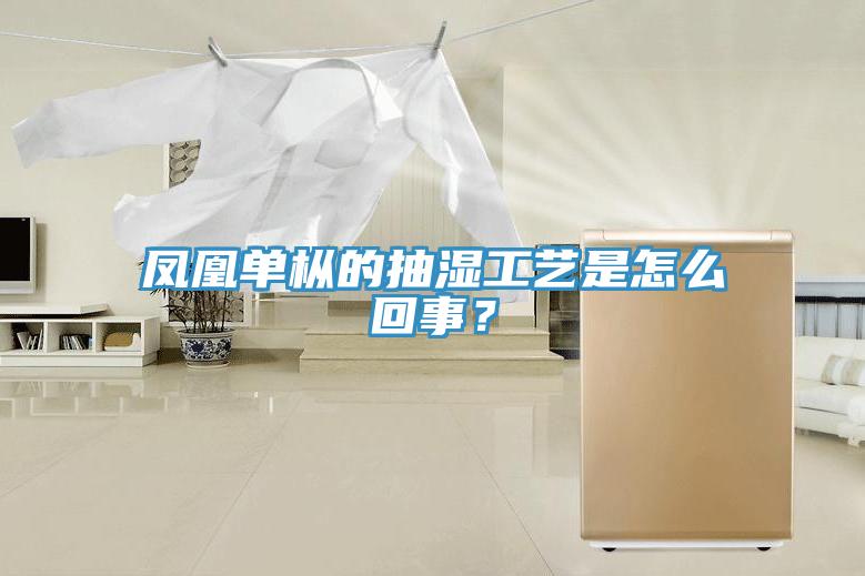 鳳凰單樅的抽濕工藝是怎么回事？