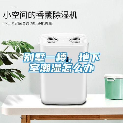 別墅一樓，地下室潮濕怎么辦