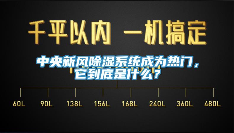 中央新風(fēng)除濕系統(tǒng)成為熱門，它到底是什么？