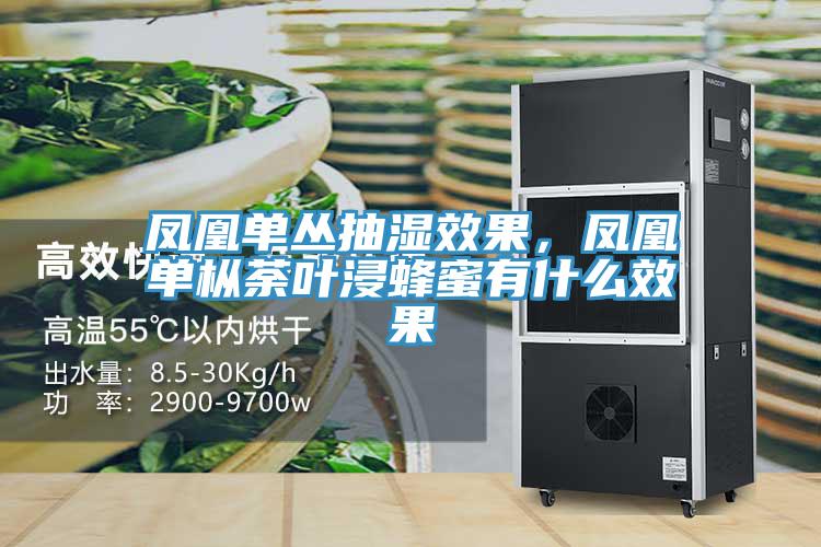 鳳凰單叢抽濕效果，鳳凰單樅荼葉浸蜂蜜有什么效果
