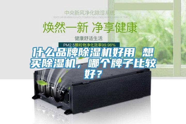 什么品牌除濕機好用 想買除濕機，哪個牌子比較好？