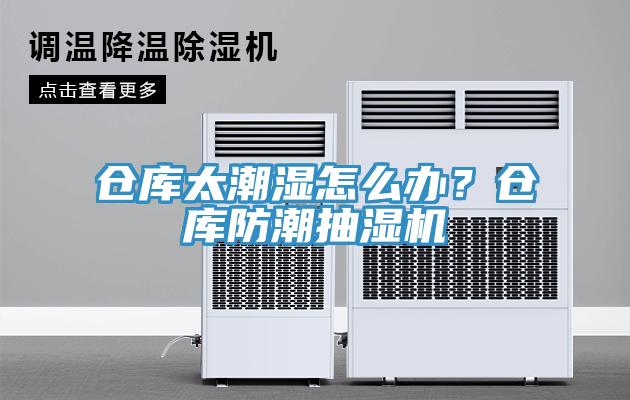 倉庫太潮濕怎么辦？倉庫防潮抽濕機(jī)