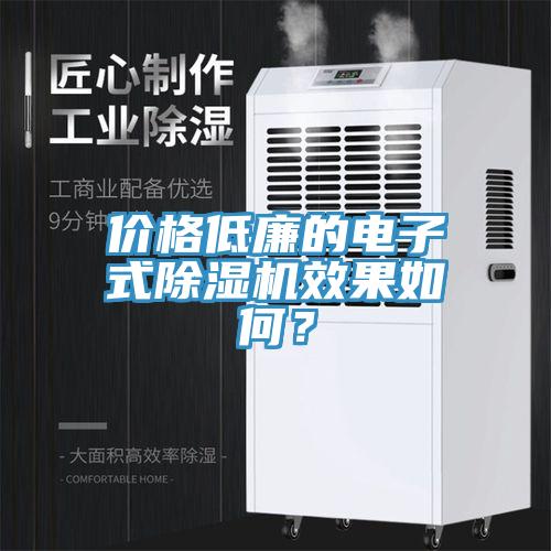價格低廉的電子式除濕機效果如何？