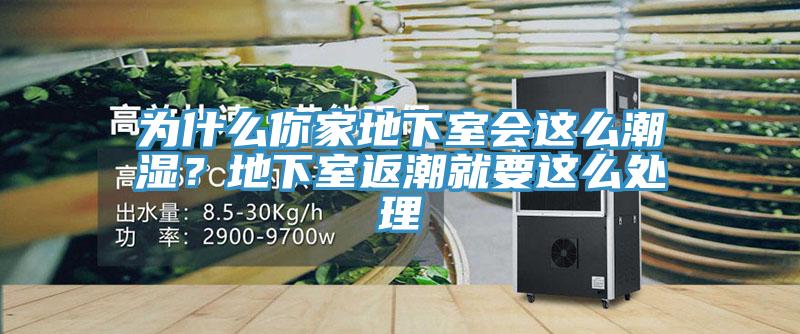 為什么你家地下室會這么潮濕？地下室返潮就要這么處理