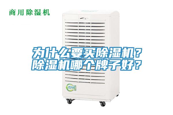 為什么要買除濕機？除濕機哪個牌子好？