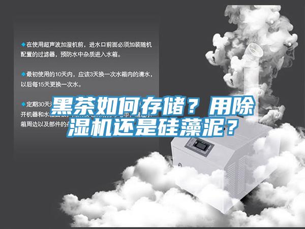 黑茶如何存儲(chǔ)？用除濕機(jī)還是硅藻泥？