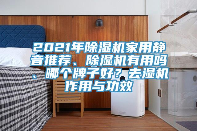 2021年除濕機(jī)家用靜音推薦、除濕機(jī)有用嗎、哪個(gè)牌子好？去濕機(jī)作用與功效
