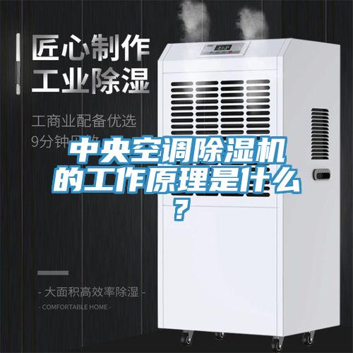 中央空調(diào)除濕機(jī)的工作原理是什么？