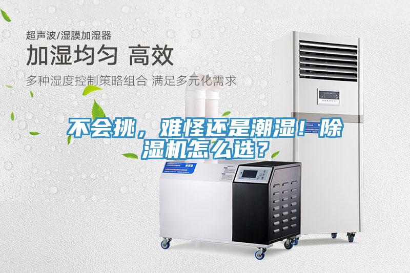 不會(huì)挑，難怪還是潮濕！除濕機(jī)怎么選？