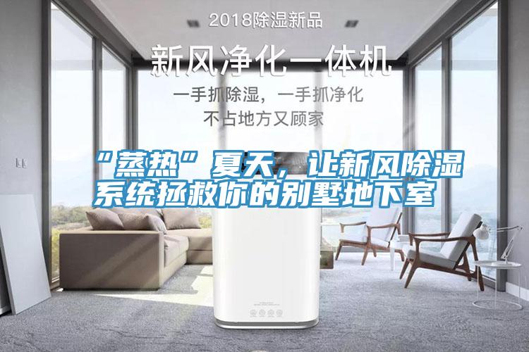 “蒸熱”夏天，讓新風(fēng)除濕系統(tǒng)拯救你的別墅地下室