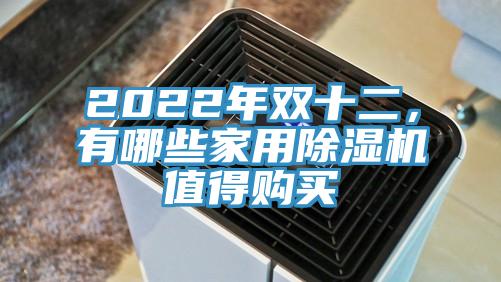 2022年雙十二，有哪些家用除濕機(jī)值得購(gòu)買