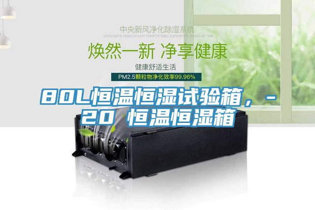 80L恒溫恒濕試驗(yàn)箱，-20℃恒溫恒濕箱