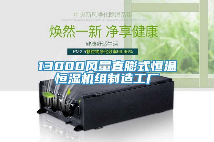 13000風(fēng)量直膨式恒溫恒濕機(jī)組制造工廠(chǎng)