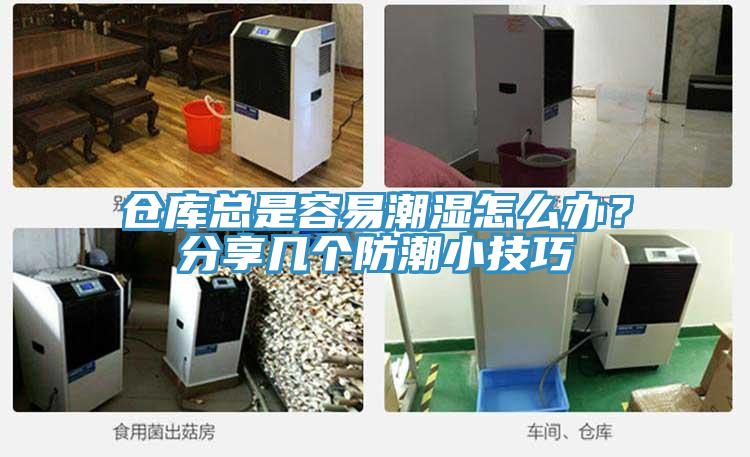 倉庫總是容易潮濕怎么辦？分享幾個防潮小技巧