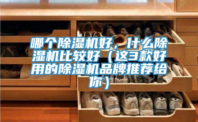 哪個除濕機好，什么除濕機比較好（這3款好用的除濕機品牌推薦給你）