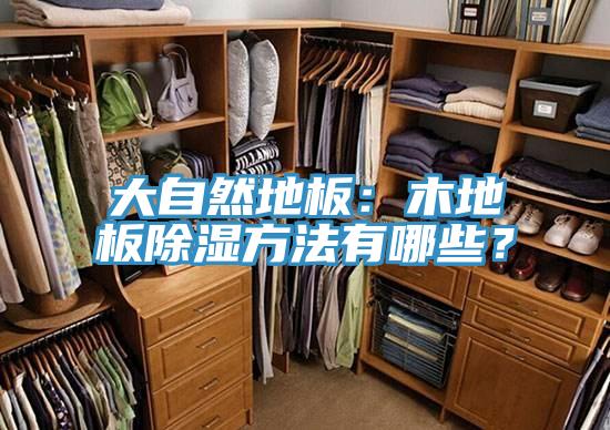 大自然地板：木地板除濕方法有哪些？
