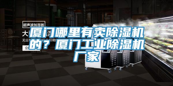 廈門哪里有賣除濕機(jī)的？廈門工業(yè)除濕機(jī)廠家