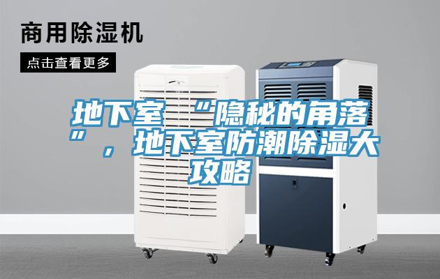 地下室≠“隱秘的角落”，地下室防潮除濕大攻略