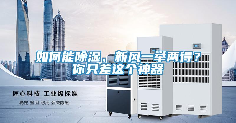 如何能除濕、新風一舉兩得？你只差這個神器