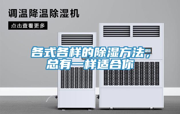 各式各樣的除濕方法，總有一樣適合你